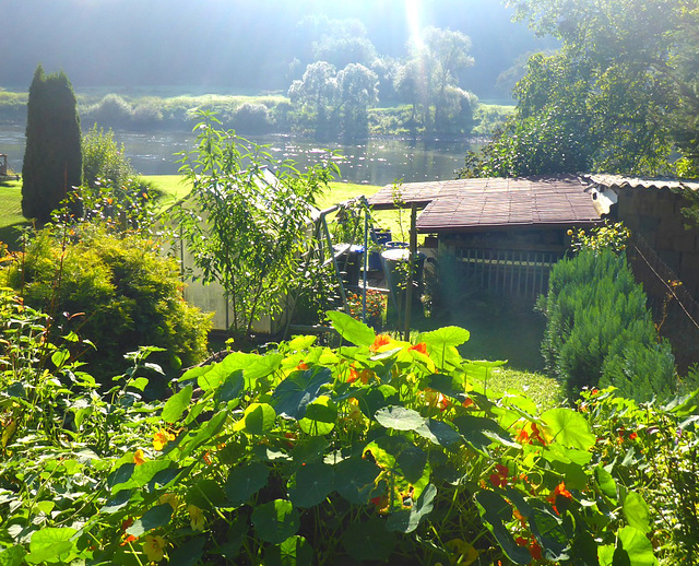 Spätsommer im Elbtal