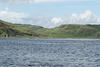 Lonely Cottage On Mull