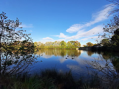 Un petit lac à Villenave d'Ornon où ma  fille va se promener tous les jours.