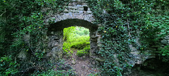 Dinas Powis Castle