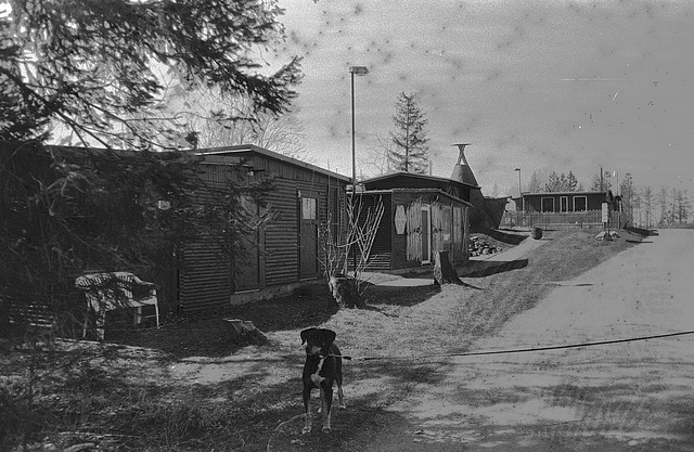 "Wald", Schullandheim Benneckenstein, Film