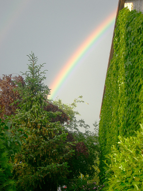 Regenbogen Regenbogen
