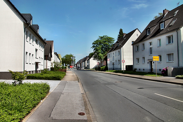 Schubertstraße (Bottrop-Egen) / 11.05.2024