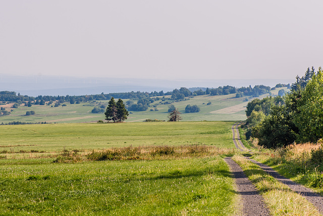 Laufen - 20150809