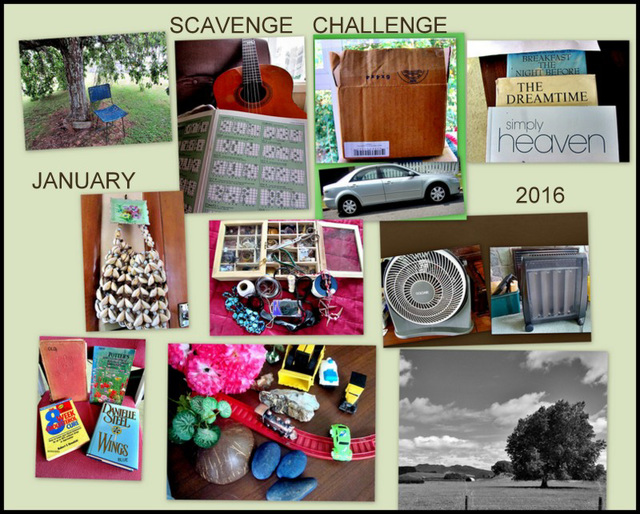 Scavenge Challenge Collage, Jan. 2016
