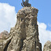 La Paz, Moon Valley (Valle de la Luna), Cactus on the Top