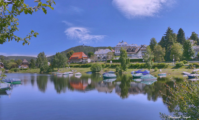 Am Schluchsee im Schwarzwald