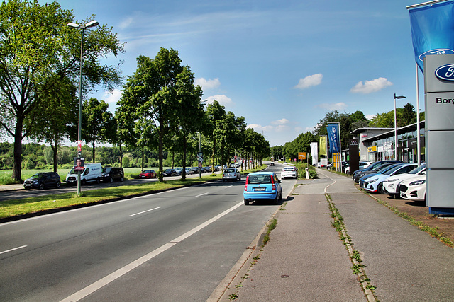 Kirchhellener Straße (Bottrop-Egen) / 11.05.2024