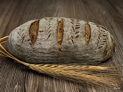 Sourdough milk loaf