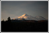 sunrise - mt shasta from train home