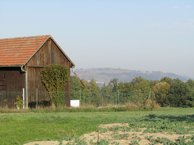 Blick zum Münchshofener Berg