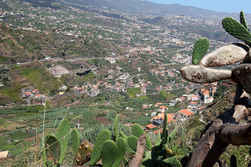 Câmara de Lobos - Vereda da Levada da Serra (7)