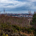 Liverpool from Bidston Hill