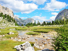 Giardino dell'Eden - 2020 June SPC - 7° places -  Rivers and streams in the Landscape