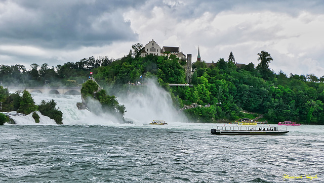 Hochwasser am Rheinfall 2021