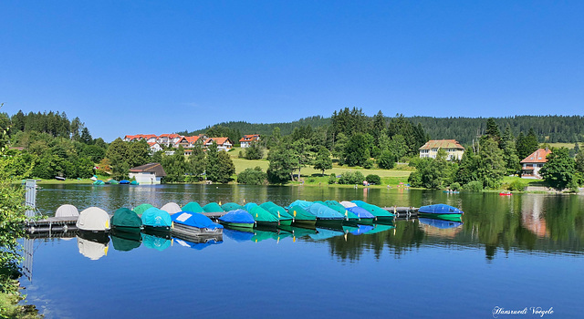 Am Schluchsee im Schwarzwald