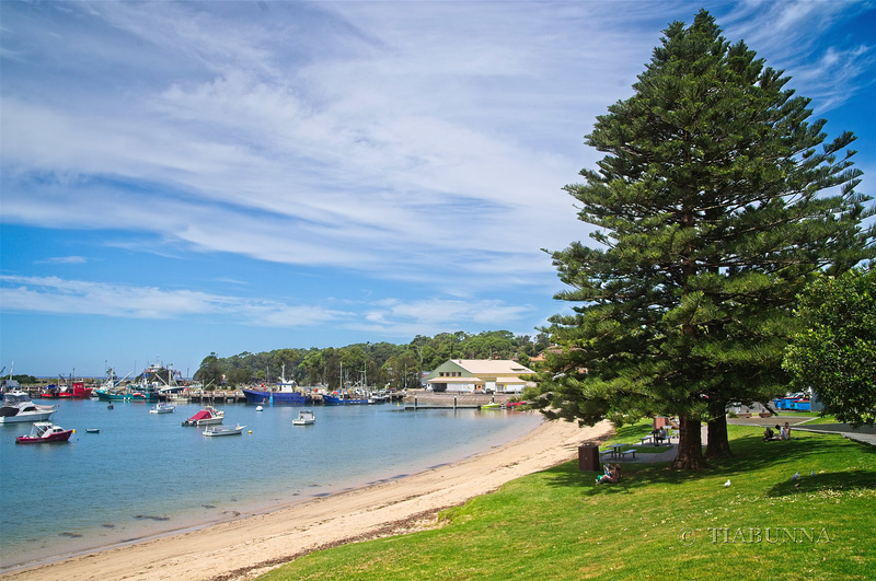 Ulladulla harbour