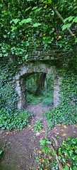 Dinas Powis Castle