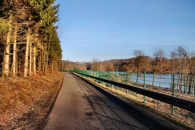 Straße am Ufer der Ennepetalsperre (Breckerfeld) / 27.01.2024