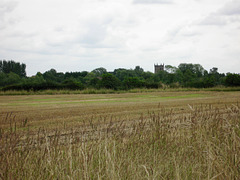 Looking towards the Church of All Saints at Alrewas from near Overley