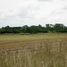 Looking towards the Church of All Saints at Alrewas from near Overley