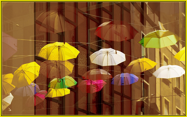 Genova : Anche gli ombrelli riflessi partecipano alla grande festa