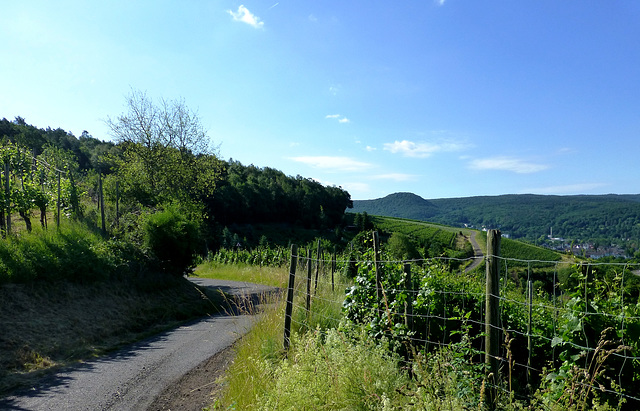 DE - Bad Neuenahr - Hiking through the vineyards