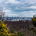 Liverpool waterfront from Bidston Hill2