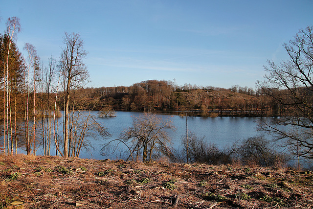 Ennepe-Stausee (Breckerfeld) / 27.01.2024