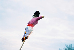 Morena celebrations in St. Jur