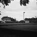 Tea plantation