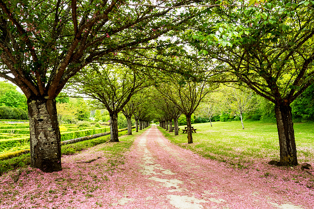 Parc & Château de Beauregard