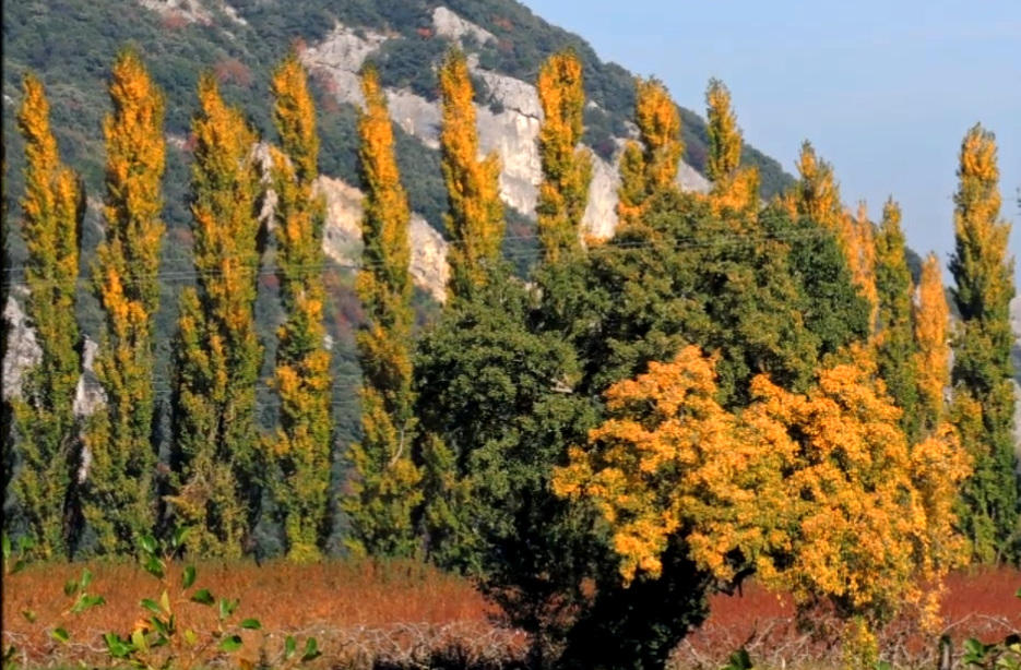 Automne