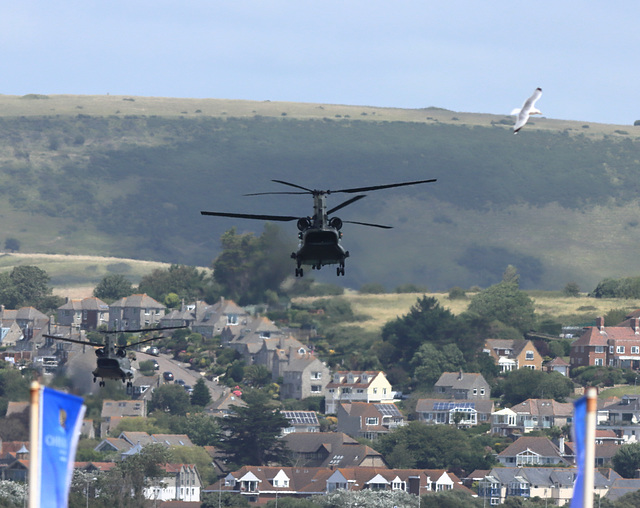 EOS 90D Peter Harriman 12 37 22 33188 chinook2Ship dpp