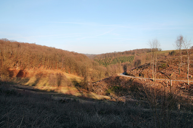 Blick über das Tal der Ennepe (Breckerfeld) / 27.01.2024