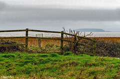 Island through the gloom,