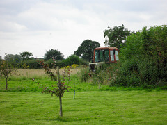 Seen Better Days, near Overley Farm