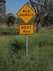 Wild Sign 0319 4850