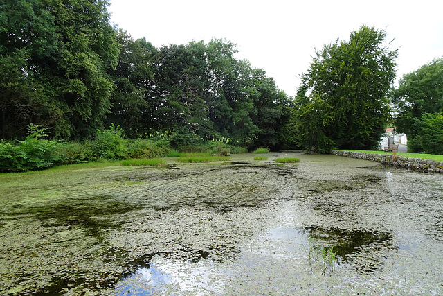 New Abbey Mill Pond