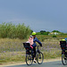 Cyclistes sur l' île de Ré