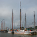 Enkhuizen, Hafen