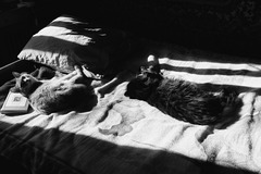 Sonnenbäder