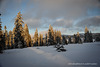 Le bonheur glacial