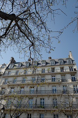 arbre et façade, tout petit boulevard Henri 4 au bout de l'île St Louis