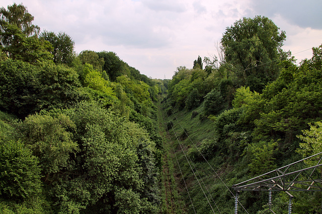 Einschnitt der ehem. Bahnstrecke Duisburg–Quakenbrück (Bottrop) / 21.05.2022