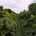 Einschnitt der ehem. Bahnstrecke Duisburg–Quakenbrück (Bottrop) / 21.05.2022