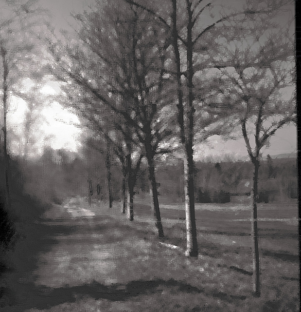 "Wald", Benneckenstein, Film
