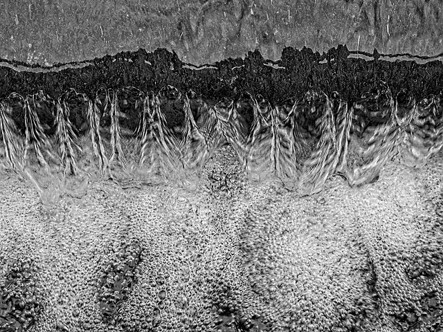 Black and White Bubbles Black and White Bubbles