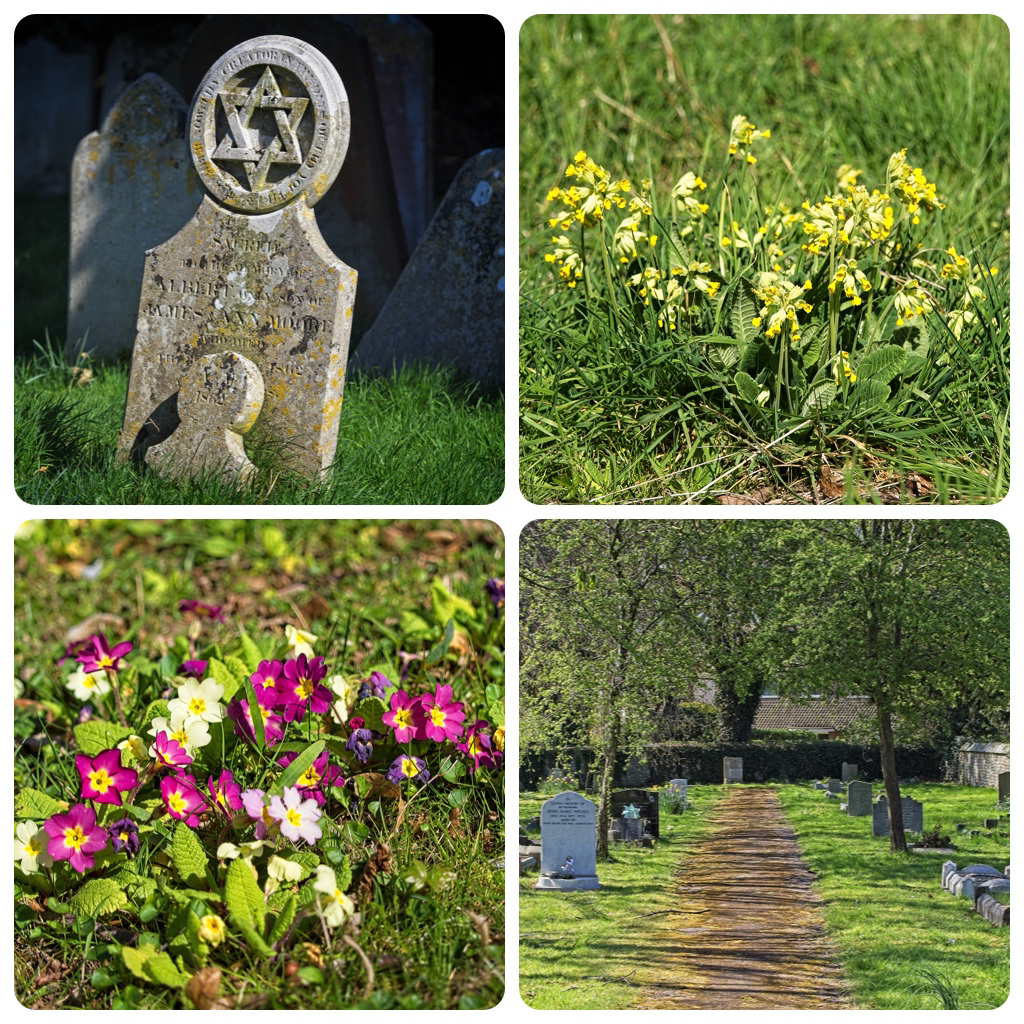 St Faith's Cemetery St Faith's Cemetery