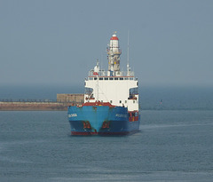 Wilson Dvina